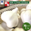 ＼29日P10倍&限定クーポン★2023年新物！ご予約順に出荷中／田子産 にんにく Mサイズ1kg 農薬不使用 化学肥料不使用 新にんにく 福地ホワイト 産地直送 田子 ニンニク 青森 令和5年 田子ニンニク にんにく 新ニンニク 甘い 美味しい 免疫 健康 元気 お取り寄せ ギフト 贈答