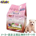 【クーポン有】 開けて楽しい小袋分包 Wish ウィッシュ 犬用 ワイルドパピー1.8kg 猪肉 ドッグフード 無添加 アレルギー ドライフード 乳酸菌 安全 食物 皮膚 痒み 送料無 他お試しフードサンプル有 AS60