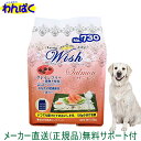 【クーポン有】 開けて楽しい小袋分包 Wish ウィッシュ 犬用 サーモン720g ドッグフード 無添加 アレルギー ドライフード 乳酸菌 安全 食物 皮膚 痒み 他お試しフードサンプル有 ALE