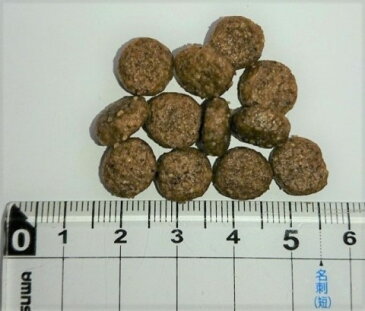 【クーポン有】開けて楽しい小袋分包 Wish ウィッシュ 犬用 ターキー 720g 送料込 ドッグフード 無添加 アレルギー ドライフード 乳酸菌 安全 食物 皮膚 他お試しフードサンプル有 AL4