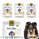 【クーポン有】 アーテミス 犬 アガ