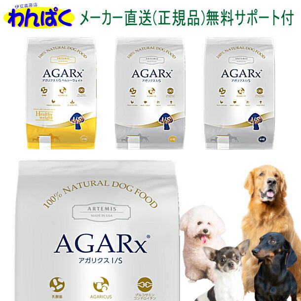 【クーポン有】 アーテミス 犬 アガ