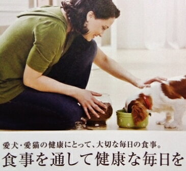 【クーポン有】 アーテミス 老犬 フレッシュミックス スモールブリード シニア 小粒 1kg×3袋セット ドッグフード 無添加 アレルギー ドライフード 乳酸菌 安全 食物 皮膚 痒み予防 送料無 他お試しフードサンプル有 AS80