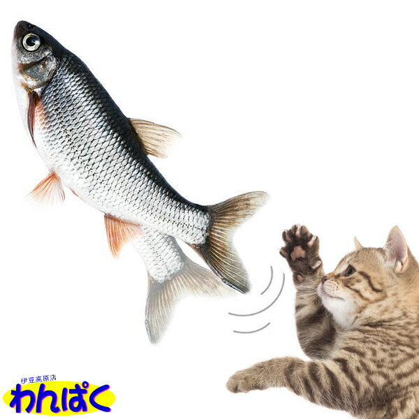 【クーポン有】 貝沼産業 猫用ダンシングフィッシュ ウグイ Dancing Fish またたびパック付 おもちゃ 猫じゃらし ぬいぐるみ 動く ピチピチ 跳ねる 本物そっくり リアル 魚 猫用 一人遊び ストレス解消 運動不足解消 わんぱく 他お試しフードサンプル有 AS60