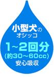 クリーンワン こまめだワン ワイド 45枚 シーズイシハラ 【ラッキーシール対応】