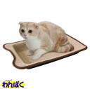 【クーポン有】 マルカン ツメとぎトレイ 猫用 ペット用 動物用 他お試しフードサンプル有 A80-8