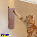 【クーポン有】 マルカン どこでもツメとぎ巻き巻き 猫用 ペット用 動物用 わんぱく 他お試しフードサンプル有 ALE