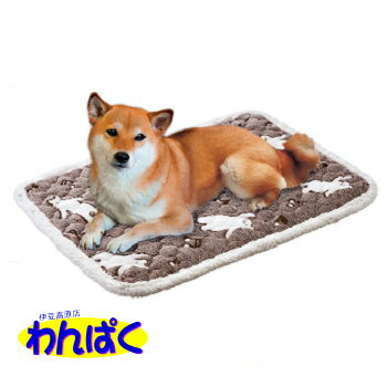 【クーポン有】 マルカン 秋冬ベッド・マット おどるしろくまさんのもこふわ温熱マットM 防寒 寒さ対策 冬用 もこもこ ふわふわ ぬくぬく あったか 犬用 猫用 ペット用 動物用 わんぱく 他お試しフードサンプル有 AS140