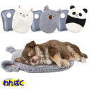 【クーポン有】 マルカン 蓄熱式湯たんぽミニ 選べる動物 アルパカ/コアラ/パンダ ぬくぬく あったか 防寒 寒さ対策 犬用 猫用 動物用 他お試しフードサンプル有 AS80