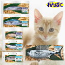 【クーポン有】 マルカン またたび水産 選べる魚 6種類 猫用 おもちゃ 猫じゃらし リアル 魚 一人遊び 運動不足解消 ストレス解消 キャットトイ ねこ 他お...
