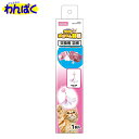 【クーポン有】 マルカン ゴーゴーぷらりん羽根 交換用羽根 猫用 ペット用 他お試しフードサンプル有 ALE