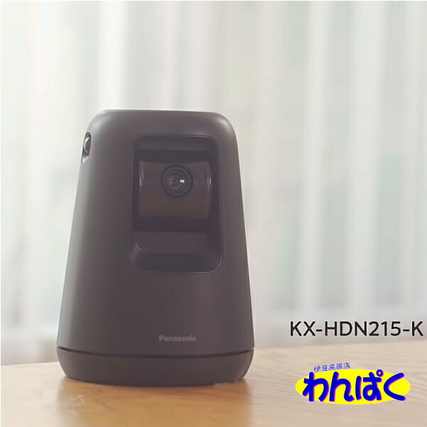 【クーポン有】 パナソニック HDペットカメラ KX-HDN215-K 自動追尾 360° 200万画素 高画質 フルHD 首振り 見守りカメラ 防犯カメラ スマホチェック ライブ映像 撮影 録画 双方向通話 動作検知…