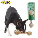 【クーポン有】 ペティオ アドメイト ナチュラルフロス ダンベルS Add.Mate 犬用 おもちゃ 超小型犬 小型犬 デンタルケア ストレス解消 他お試しフー...