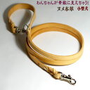 【クーポン有】 ヌメ本革リード ナチュラル12mm カフェタイプ 銀色金具 小型犬用≪メール便にて≫ 他お試しフードサンプル有 AME