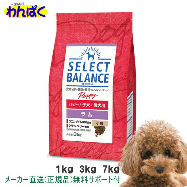 【クーポン有】 パピー 子犬・母犬用 ラム 小粒 1kg 3kg 7kg 選べる セレクトバランス 犬用フード 無添加 アレルギー 安全 皮膚 痒み やさしい ドックフード わんぱく ドライフード 他お試しフードサンプル有 AS0のサムネイル