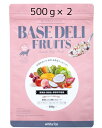 yz Â育͂x[X BASE DELI FRUITS 500g~2 x[Xf phbNt|h t[c hbOt[h hbNt[h  VjA V ̂  畆 AM[ _CGbg ̏dǗ hbOt[h  EFbg EFbgt[h 