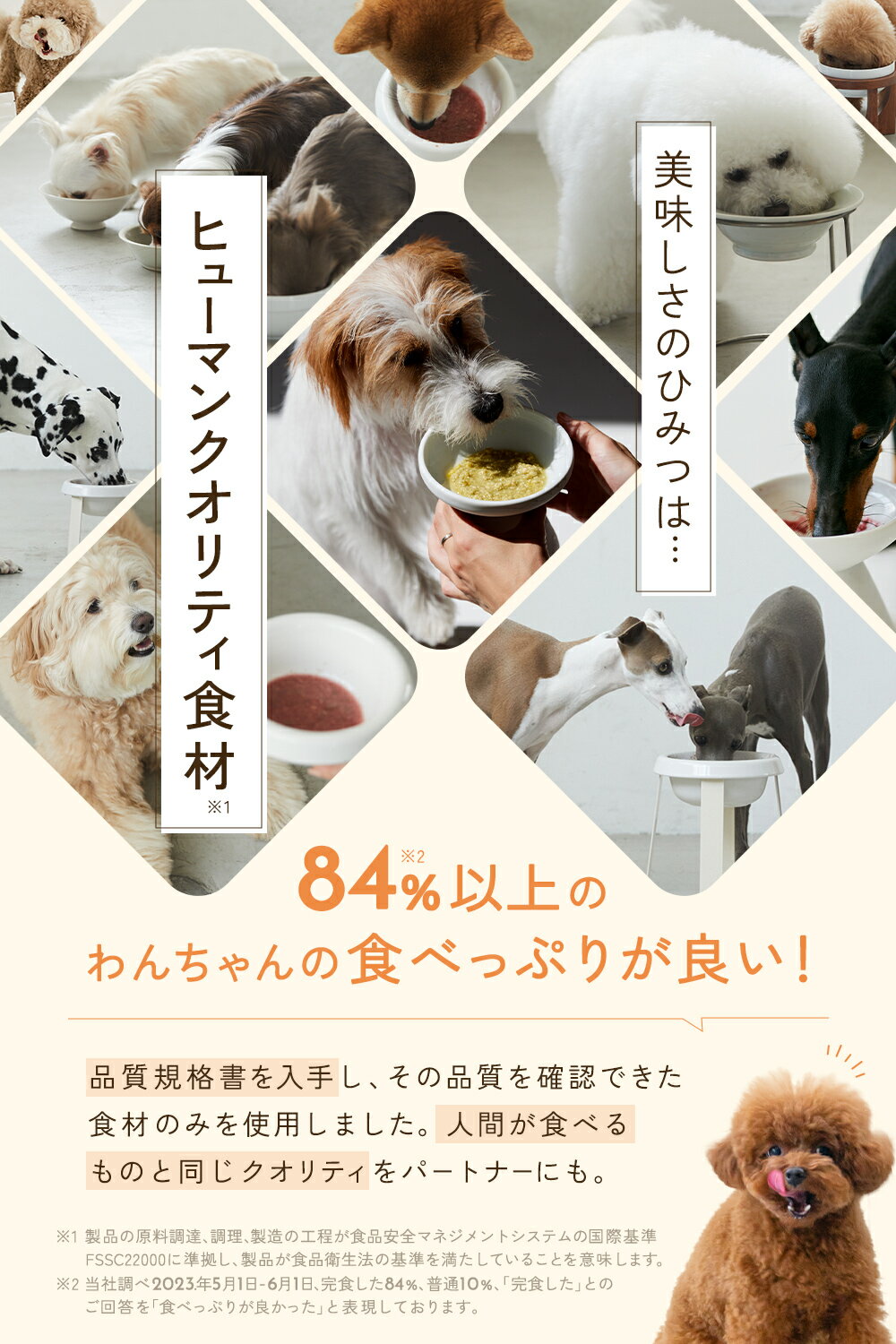 WanSoup ワンスープ 愛犬のためのフリーズドライの食べるスープ 犬用おやつ ふりかけ アレルギー対応 国産 化学物質無添加