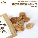 犬 おやつ 無添加 国産 鶏ささみおからチップ 40g わんもぐ こだわり ヘルシー