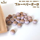犬 おやつ 無添加 国産 ブルーベリーボーロ 50g 猫 わんもぐ 安心安全 こだわり ヘルシー