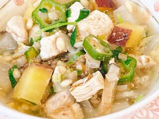 【無添加】低脂肪低カロリー高繊維　鶏と野菜のもち麦スープ重ね出汁【犬低カロリ...