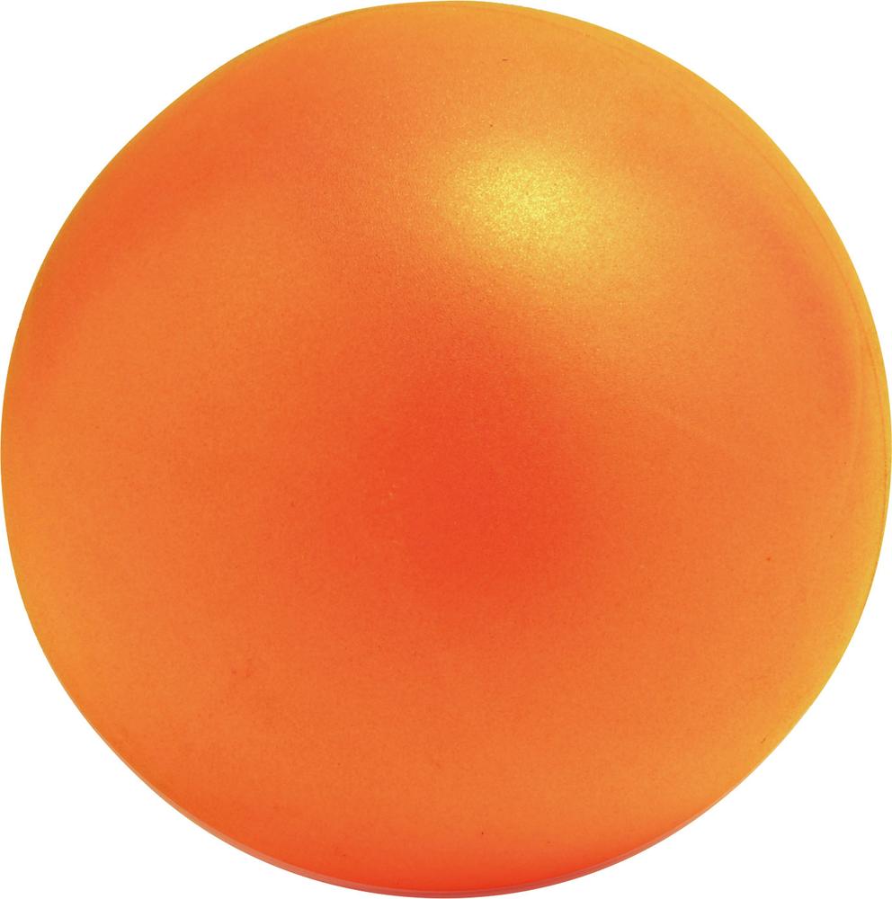 【P10倍!20日20:00-27日1:59】プレルボール用ボール