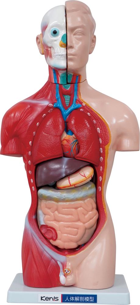 P10ܡ2020:00-271:59ۿβ˶Ϸʥȥ륽ˡHTM-42