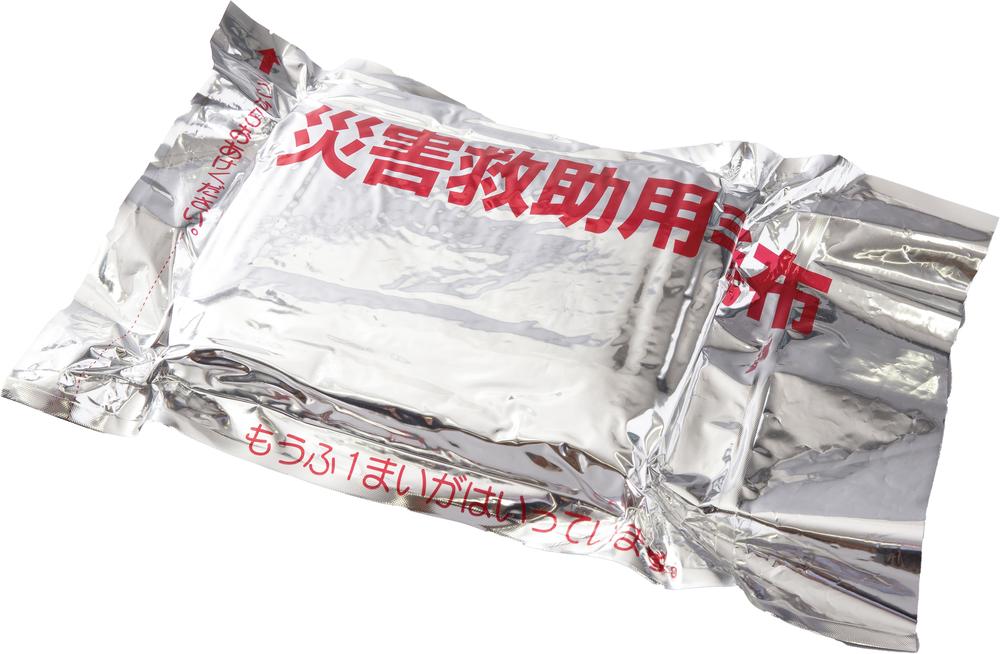 楽天ワンサカ楽天市場支店【P10倍&お得クーポン配布中！4日20:00-11日1:59】難燃性フリース毛布 10枚組 2512ss