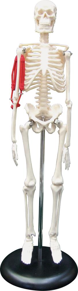 P10ܡ2020:00-271:59ۿιϷȥM