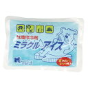 ★対象商品5点で10%クーポン★【在庫限り アウトレット】パウチタイプ保冷剤 ミラクルアイス M 300g