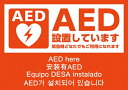 【P10倍!30日限定】五カ国語対応 AEDシール A5 両面【sanwa】 JIS規格準拠 ステッカー 日本AED財団監修