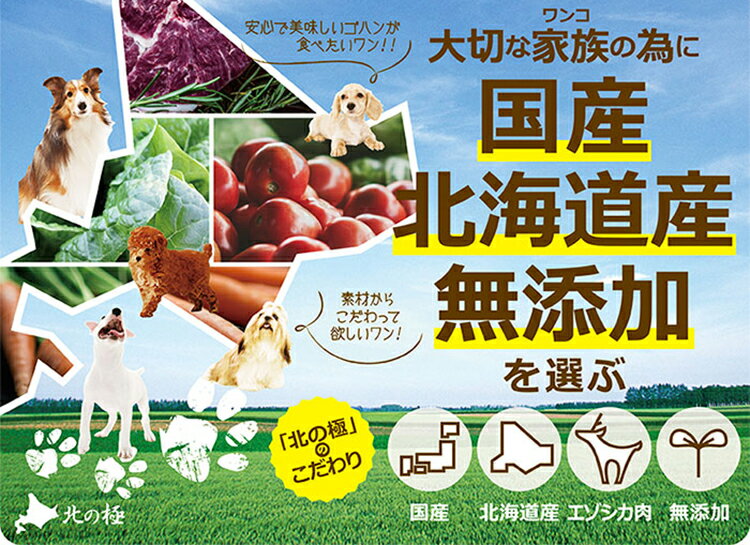 北海道産　犬　手作りごはん レトルト　ドッグフード　デリカテッセン ビストロスタイル 5個セット　送料無料　エゾシカ肉　鶏肉　鮭 トッピング ウェットフード 無添加 国産 健康 薬膳 アレルギー 旅行 超小型犬 小型犬 中型犬 大型犬