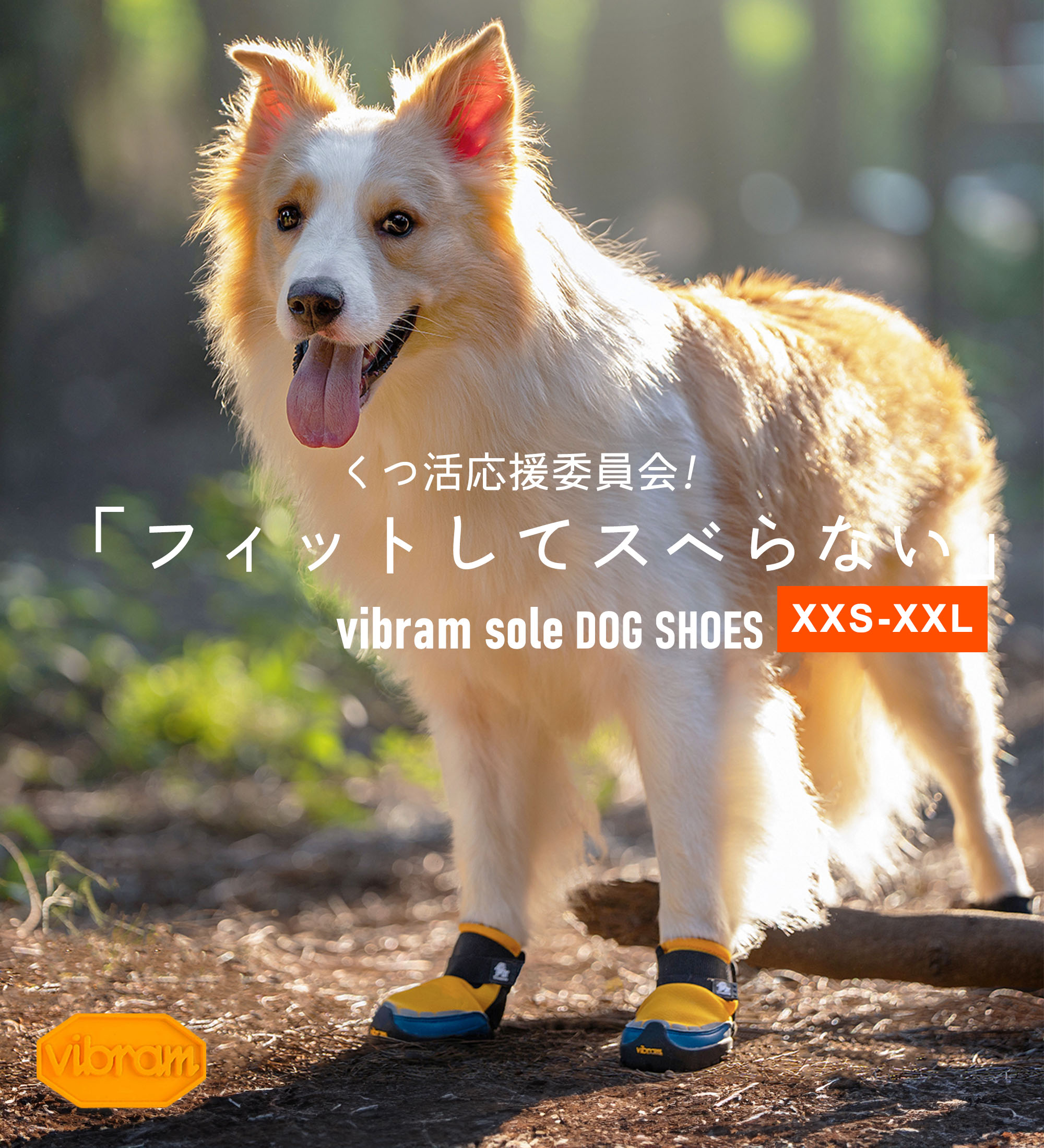 犬 靴 犬用 ドッグシューズ Vibramソール採用 軽量 柔らかい メッシュ素材 通気性抜群 滑りにくい靴 着脱簡単 開口部大きく開く 小型犬 中型犬 大型犬対応 お散歩 アウトドア 保護ブーツ 耐久性 快適性 Truelove ヴィブラムソール ドッグシューズ 【2個入】