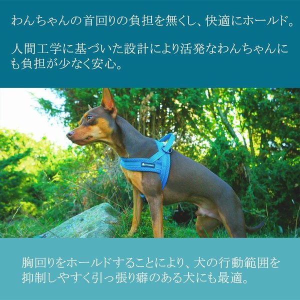 犬 ハーネス 犬用 ハーネス 胴輪 ソフトパッド 簡単装着 快適 スポーツハーネス 超大型犬 大型犬 小型犬 送料無料