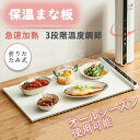 電熱ランチョンマット 食事マット 保温マット ヒーターパッド 卓上電熱マット ヒーターパッド 食品保温プレート 電気保温トレイ フード 温度調節可 折り畳み式 ...