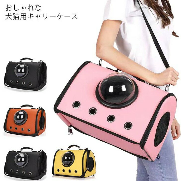 襤  Ҹ ꡼   Хå ڥå ꡼ å ǭ꡼ ǭ ꡼ ꡼Хå