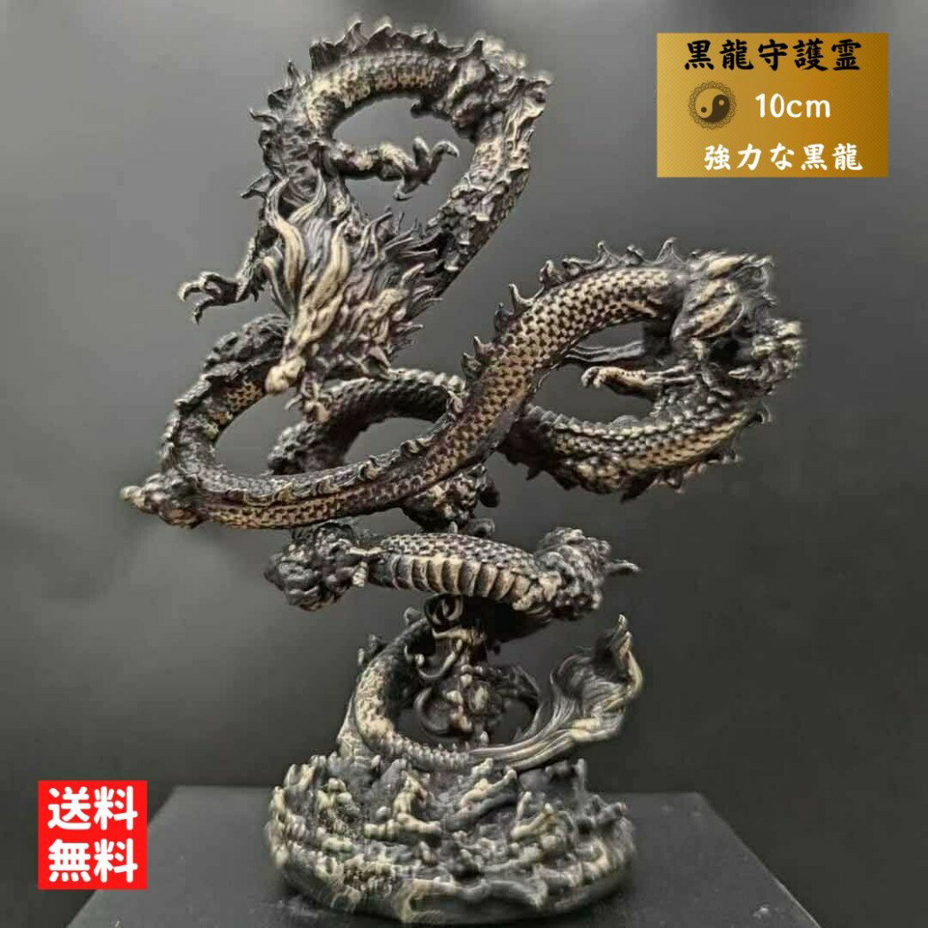  ζ ֥åɥ饴 ͷζ ° 10cm ʪ ε  奰å ɥ饴  Ɀ å  Ƕѥ...