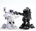 おもちゃ ロボット 対戦ロボットセット バトル 電動ロボット ボクシング 対戦型 体感操作 体験リモコン 多機能 ラジコン 男の子 子ども ゲーム 2台セット