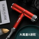 ドライヤー 大風量 速乾 恒温保護 美髪 ヘアドライヤー ヘアケア ツヤ髪 美容家電 おすすめ 3段階調節 男女兼用 軽量 美容師