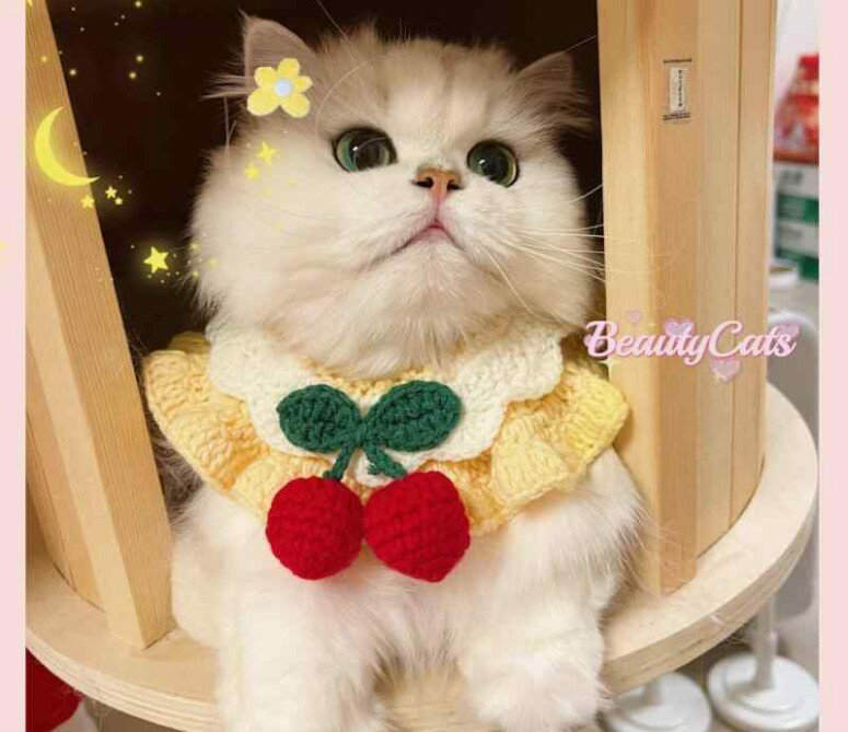 おすすめ 犬 猫 ペット グッズ かわいい おしゃれ 首輪 装飾 よだれかけ ニット スカーフ プリンセス 蝶ネクタイ リボン さくらんぼ チェリー 千鳥格子 レース フリル