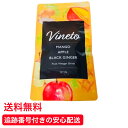 ビネット フルーツビネガードリンク 68g vineto マンゴーアップル 置き換え ダイエット サプリ ブラックジンジャー お酢 美容 健康