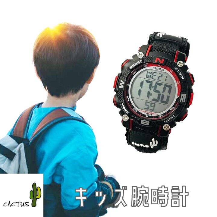 ӻ Ҷ ǥ 10ɿ CACTUS  CAC-104-M01