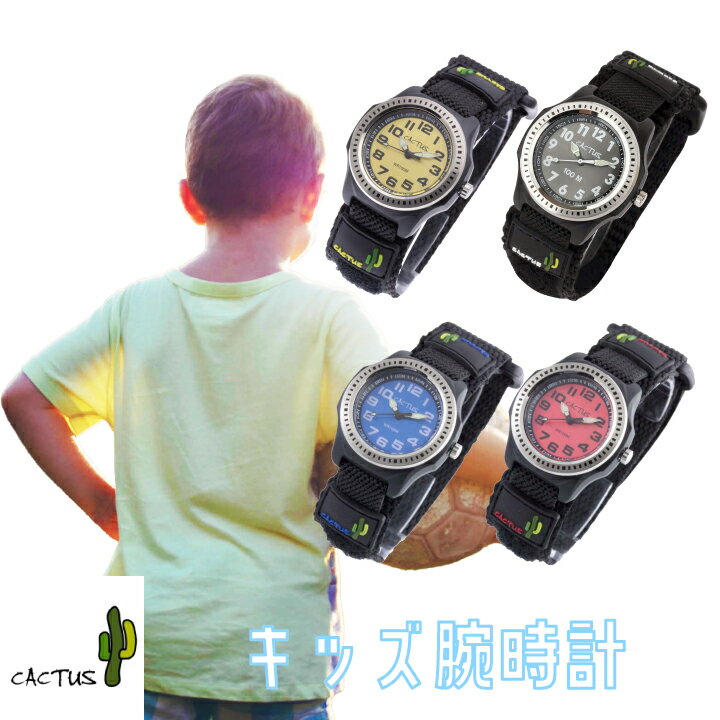 /Х꽸ӻ Ҷ 10ɿ CACTUS  CAC-45-M