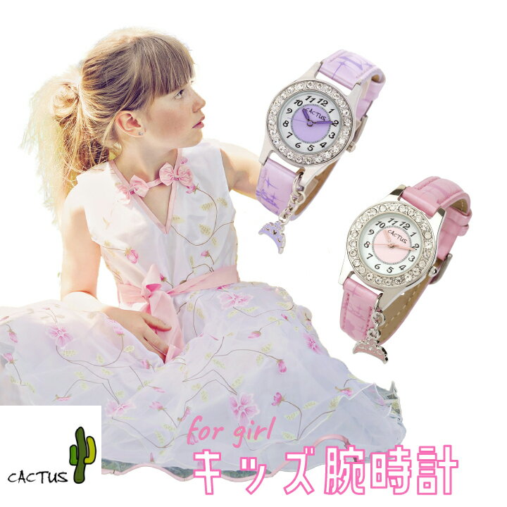 ӻ Ҷ 㡼 CACTUS  CAC-71-L