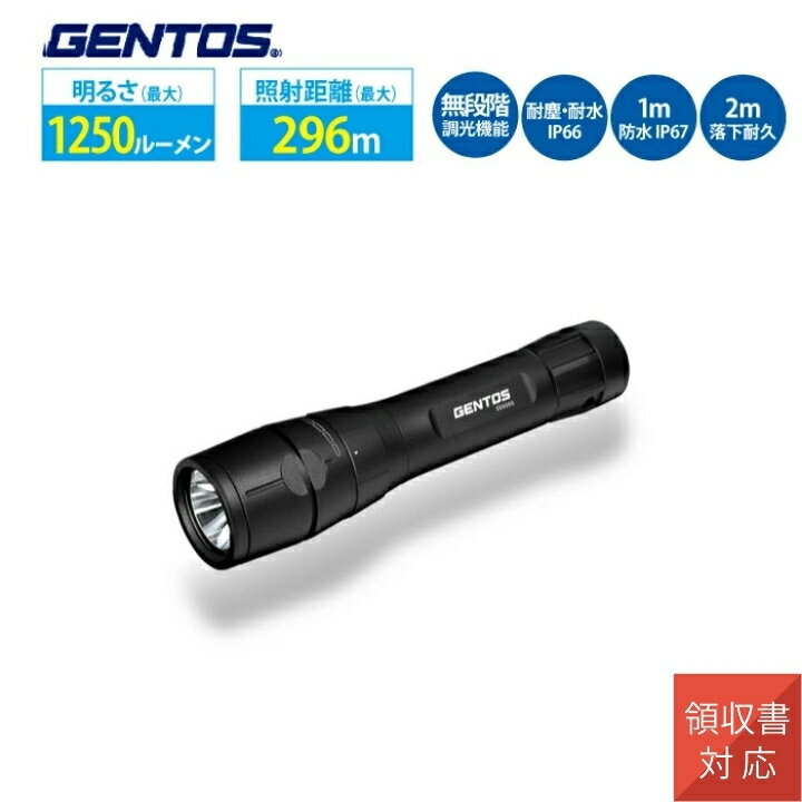 ハンディライト GENTOS ジェントス GF-216RG LED USB充電式 ポーチ付き 点検 作業用 防災 小型 ライト 携帯用 手持ち
