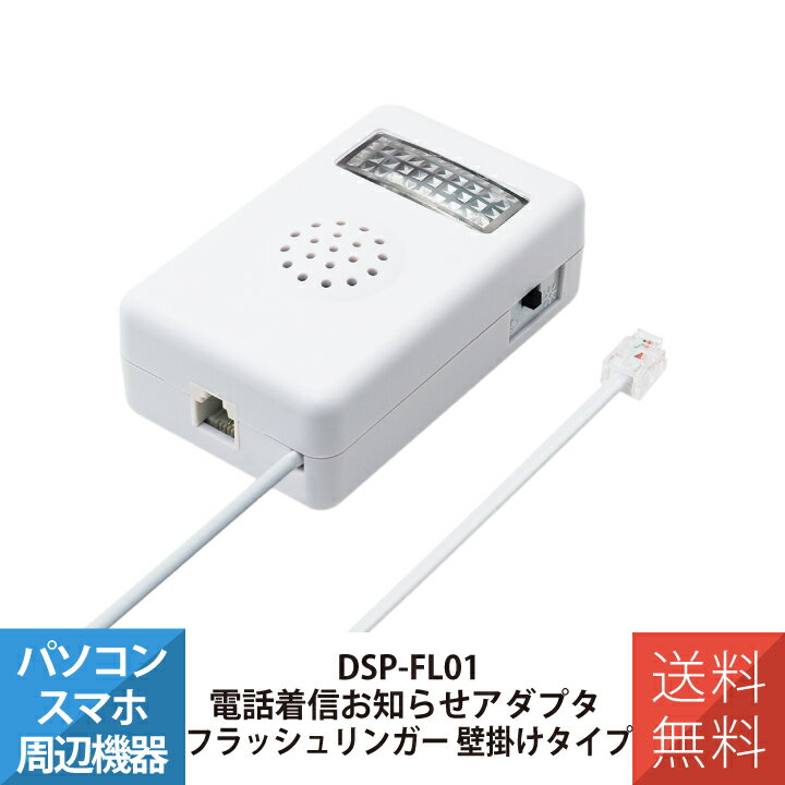 dsp-fl01_00.jpg