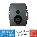 在庫あり センサーカメラ 耐水 SDカード 録画式 電池式 夜間 人感センサー 配線不要 簡単 取付 SD2500 送料無料 リーベックス Revex