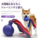 犬おもちゃ 噛むおもちゃ 知育玩具 頑丈 洗える 犬用おもちゃ 口臭予防 投げる ストレス発散 運動不足解消 耐久性 歯 清潔 訓練用 投げる玩具 多機能知育玩...