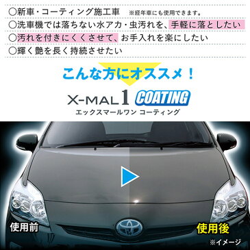 CCウォーターゴールドのミニボトルプレゼント!プロスタッフ PRO STAFF エックスマールワン コーティング 300 S-108 | 水垢 汚れ落とし 艶出し ボディー ヘッドライト コーティング剤 車 ボディ 簡単 万能 ボディ