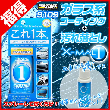 CCウォーターゴールドのミニボトルプレゼント! プロスタッフ PRO STAFF エックスマールワン コーティング 180 S-109 | 水垢 汚れ落とし 艶出し ボディー ヘッドライト コーティング剤 車 ボディ 簡単 万能 ボディ 汚れ 洗車 撥水