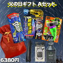【5月1日限定!全品ポイント5倍】父の日ギフト2024 Aセット 〜トルネードヴォルテックス〜 | レインドロップ コーティング剤 車 コーティング 撥水 艶 ...